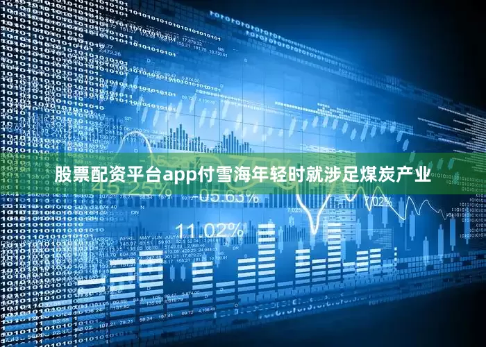 股票配资平台app付雪海年轻时就涉足煤炭产业