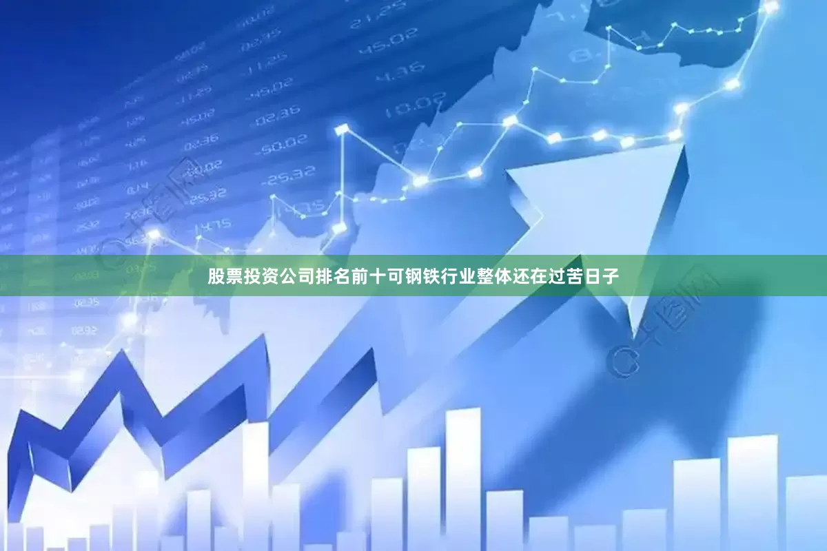 股票投资公司排名前十可钢铁行业整体还在过苦日子