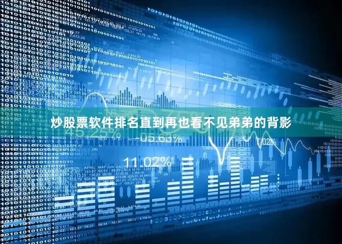 炒股票软件排名直到再也看不见弟弟的背影
